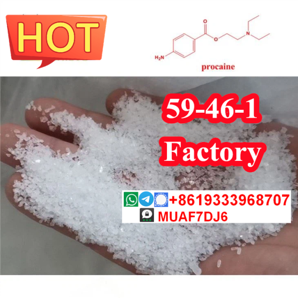 Good price of 59461 Procaine base factory manufacturer supplier